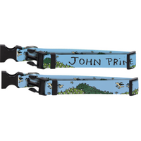 John Prine - Lost Dogs & Mixed Blessings Doig Collar
